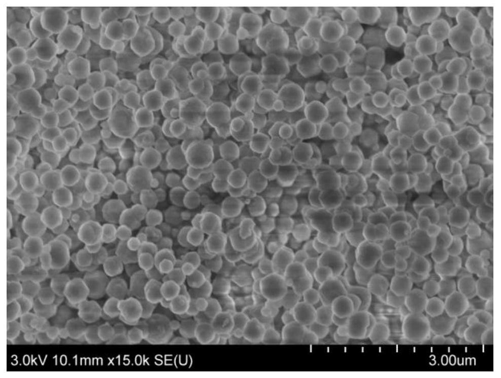 Heterogeneous photosensitizer based on metal organic framework material as carrier as well as preparation method and application of heterogeneous photosensitizer