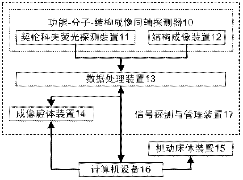 Functional-molecular-structural imaging system and method