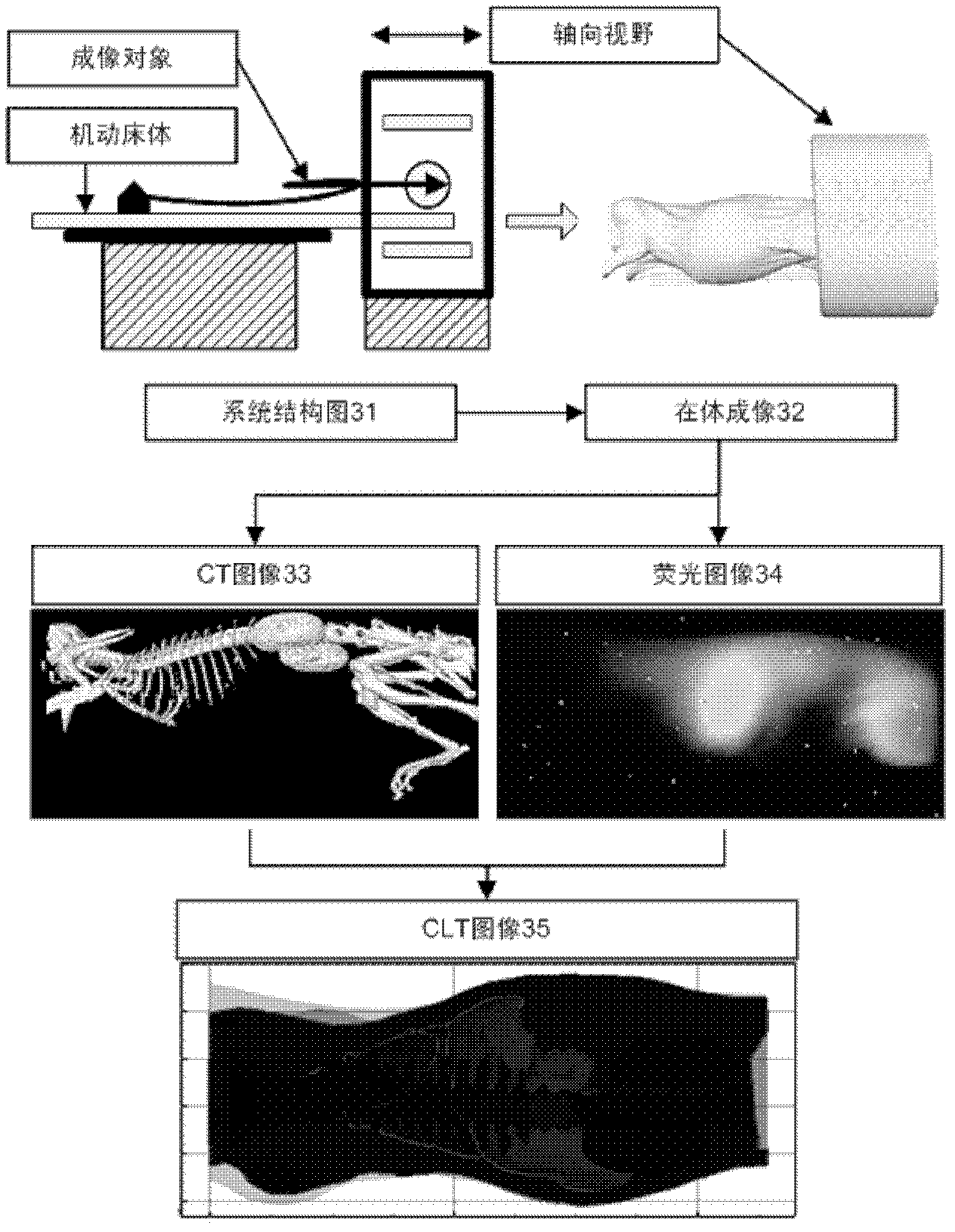 Functional-molecular-structural imaging system and method