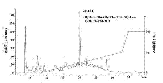 Raja porosa cartilage polypeptide angiogenesis inhibitory factor, and preparation method and application thereof