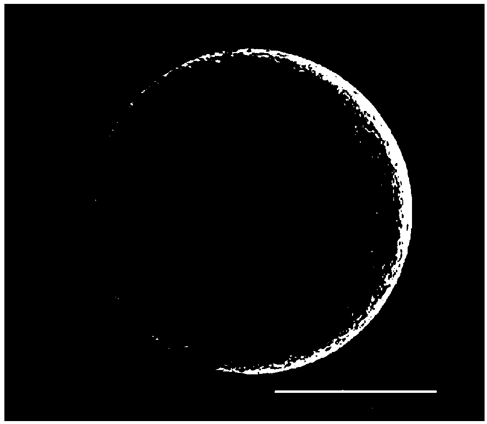 Method for preparing copper alloy powder by means of plasma rotating electrode