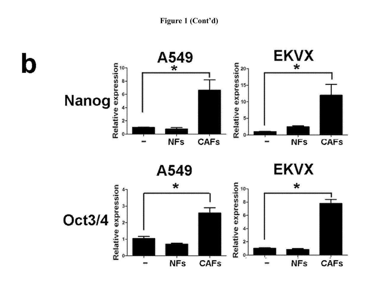 Cancer-associated fibroblasts in maintaining stemness of cancer stem cells