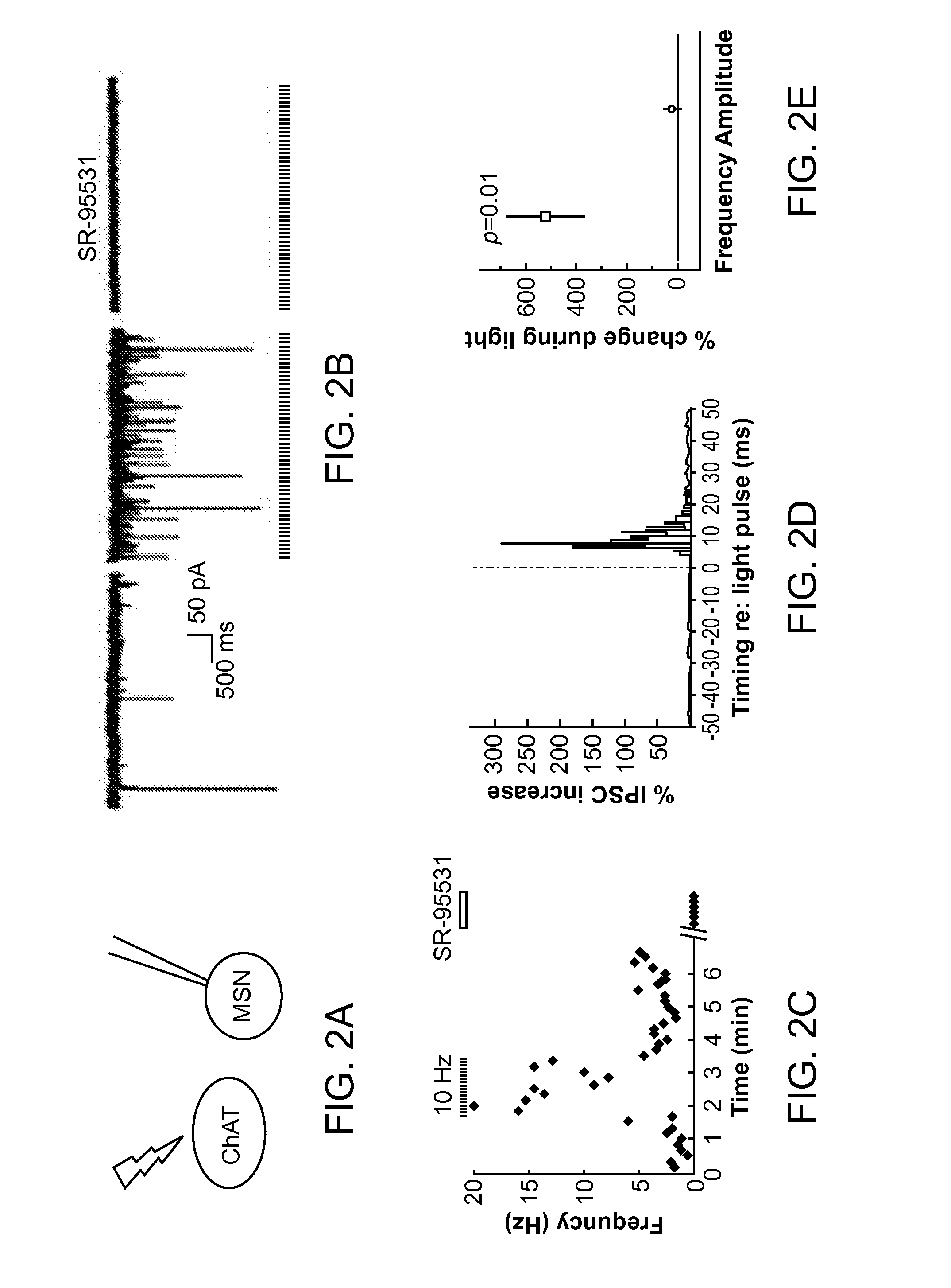 Optogenetic Control of Reward-Related Behaviors