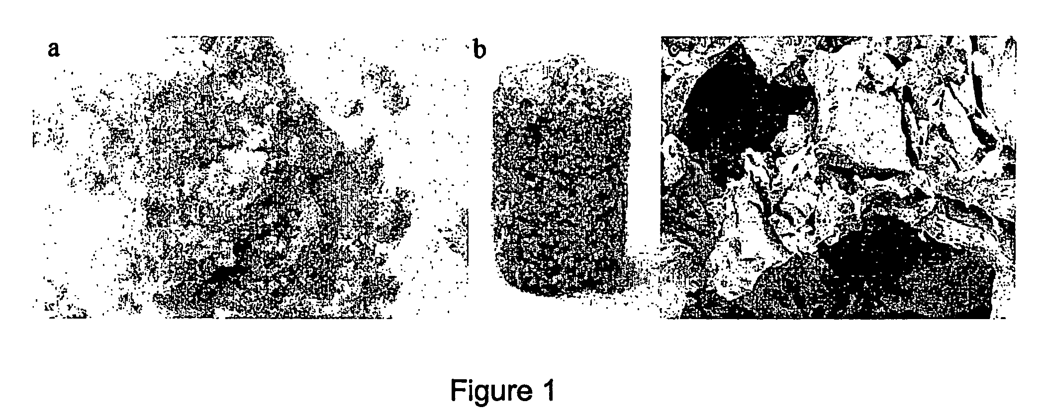 Hydrogel Porogents for Fabricating Biodegradable Scaffolds