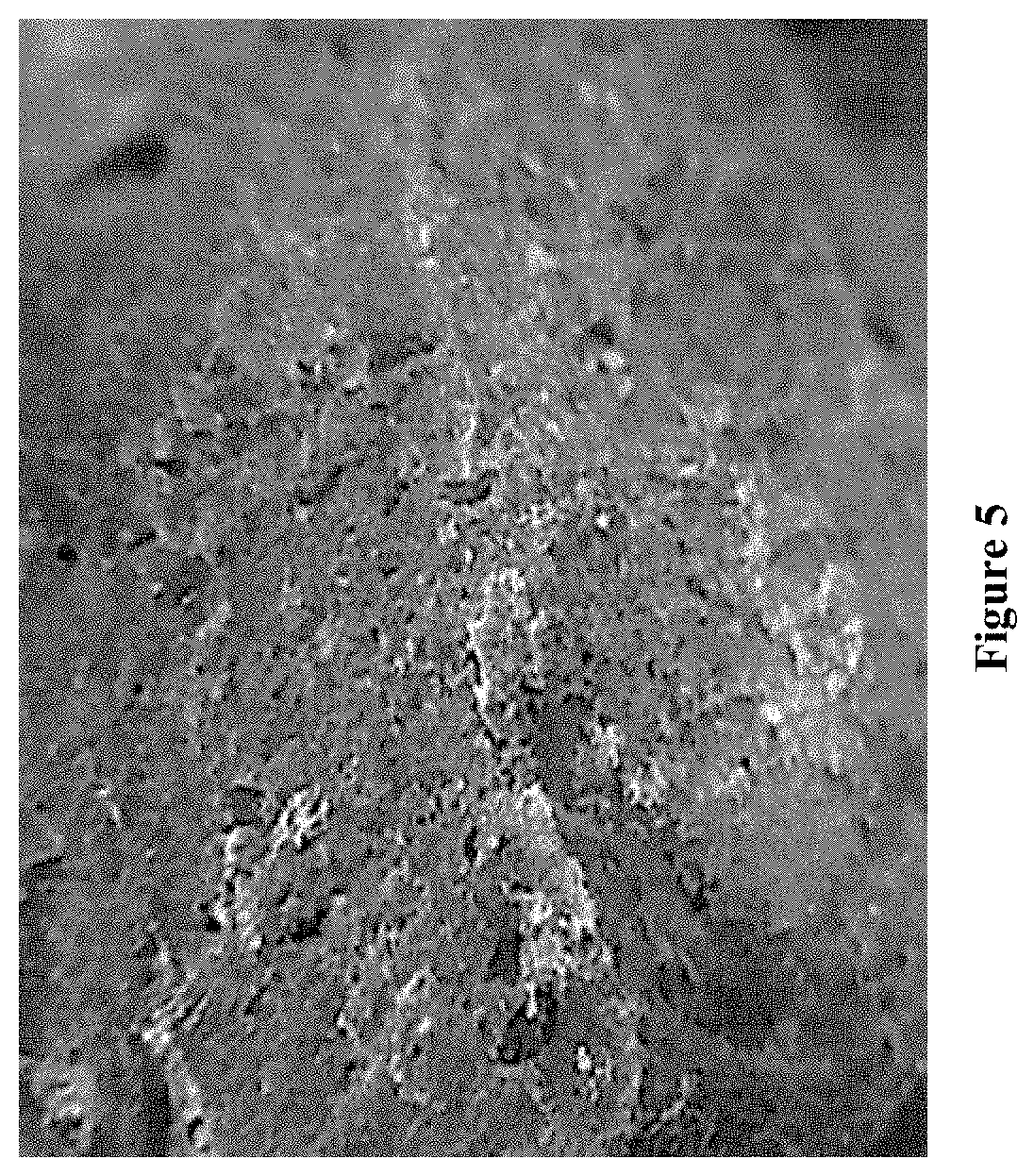 Cementitious Composition With High Bond Strength To Both Asphalt And Cement Based Materials