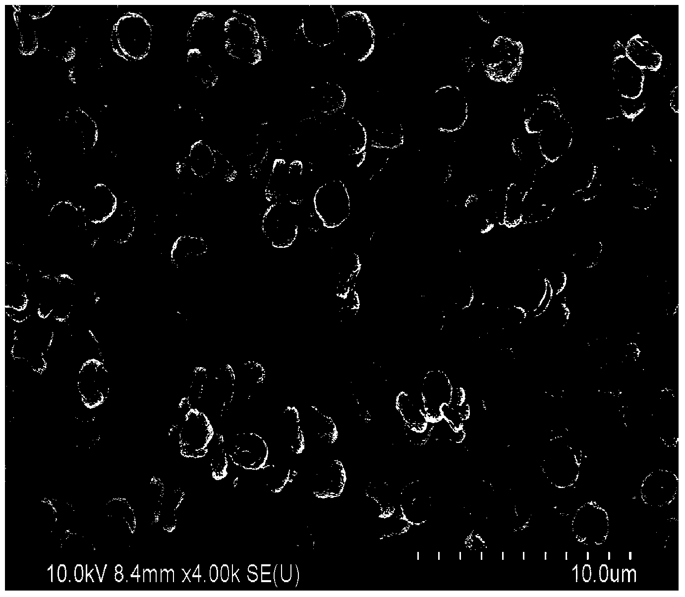 Dried persimmon-shaped visible-light-driven photocatalyst BiOBr and preparation method thereof