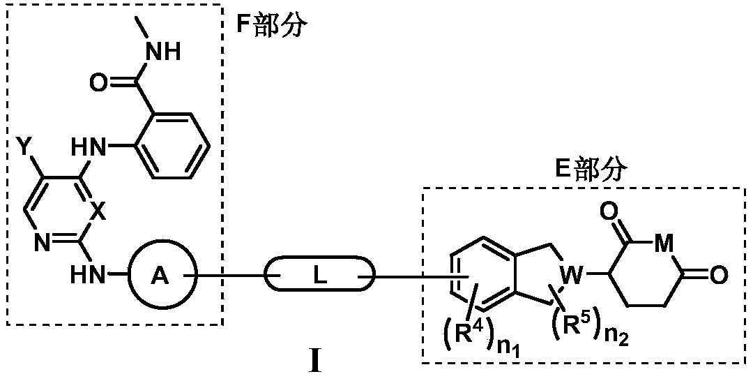 Compounds for targeted degradation of focal adhesion kinase and application of the compounds in medicine