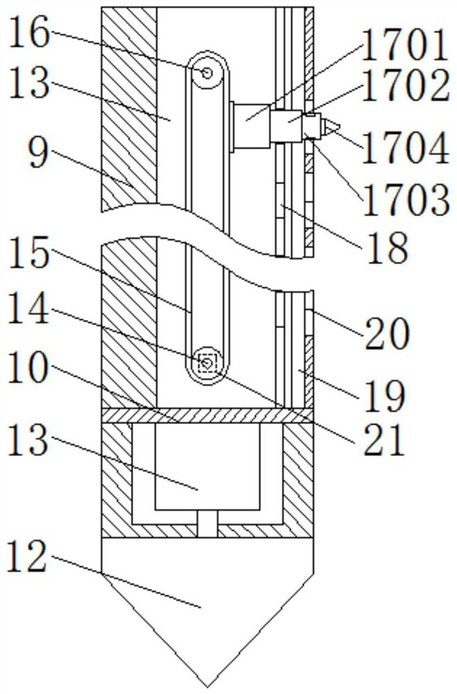 Black rice planting soil detection device