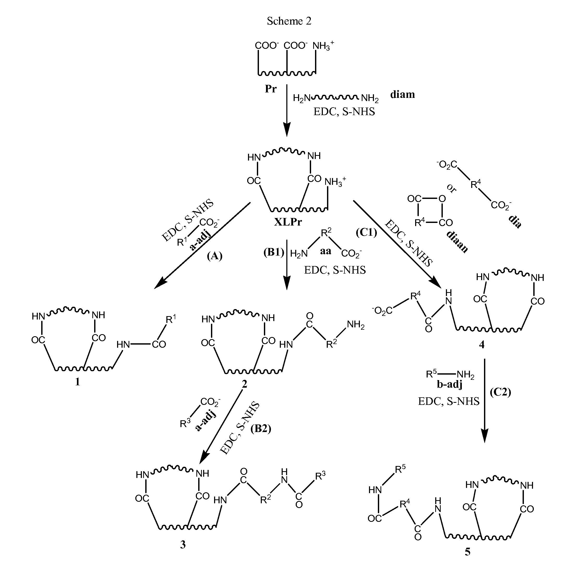 Stabilized, sterilized collagen scaffolds with active adjuncts attached