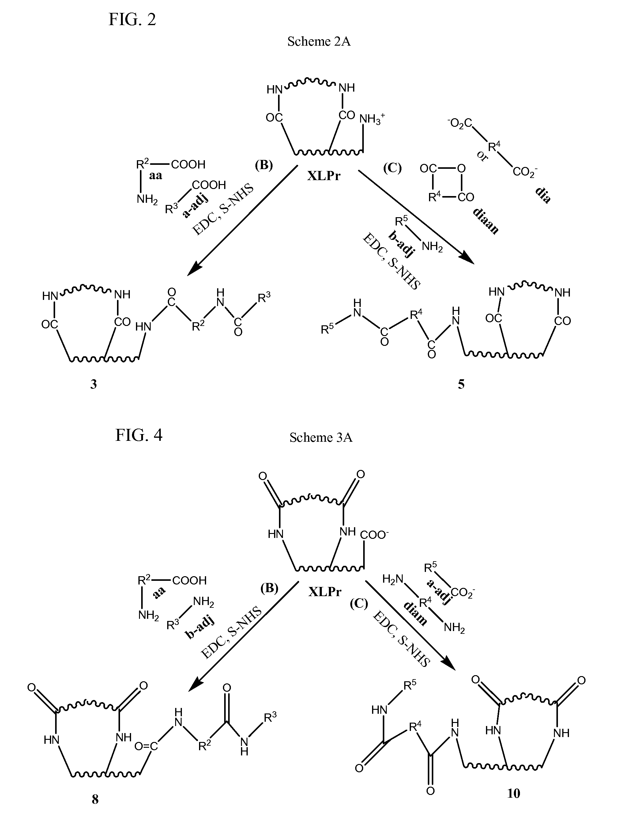 Stabilized, sterilized collagen scaffolds with active adjuncts attached