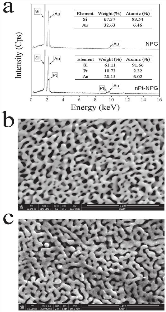 Method for screening helicobacter pylori urease inhibitor