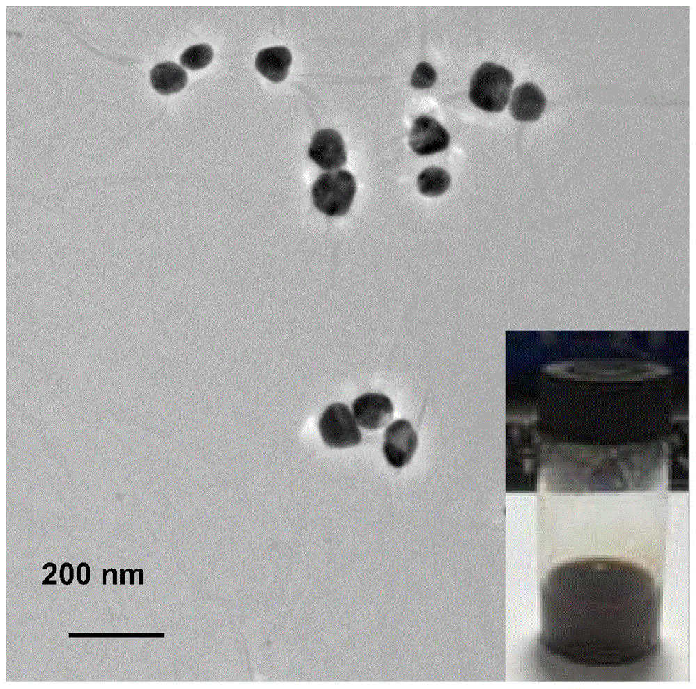 A graphene-based water-based ink and its inkjet printing transparent patterned conductive electrode application