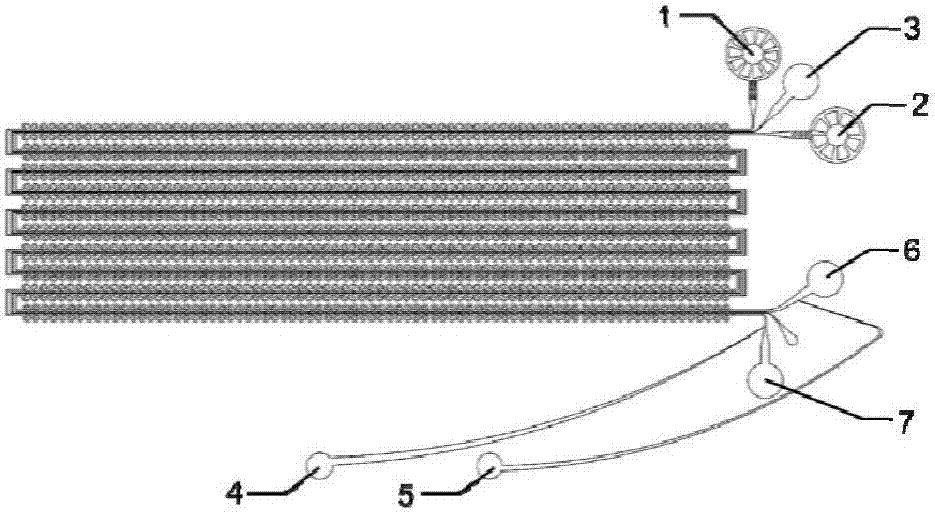 Micro-fluidic chip for capturing single cell/single granule through high-flux pairing and application of micro-fluidic chip