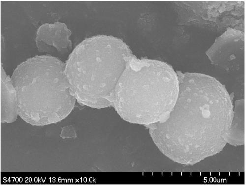 A temperature-controlled phase change material microcapsule carrier immobilized enzyme and its preparation method