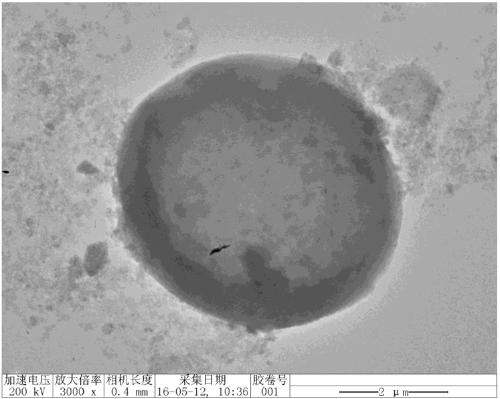 A temperature-controlled phase change material microcapsule carrier immobilized enzyme and its preparation method