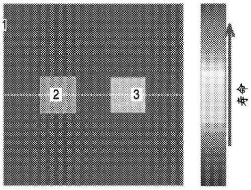 Imaging method and system for intraoperative surgical margin assessment