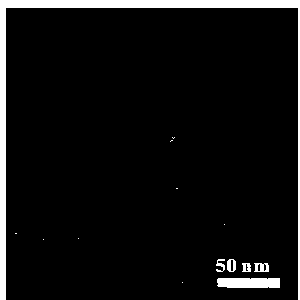 Preparation method for monodisperse bismuth nano-particles with controllable particle sizes