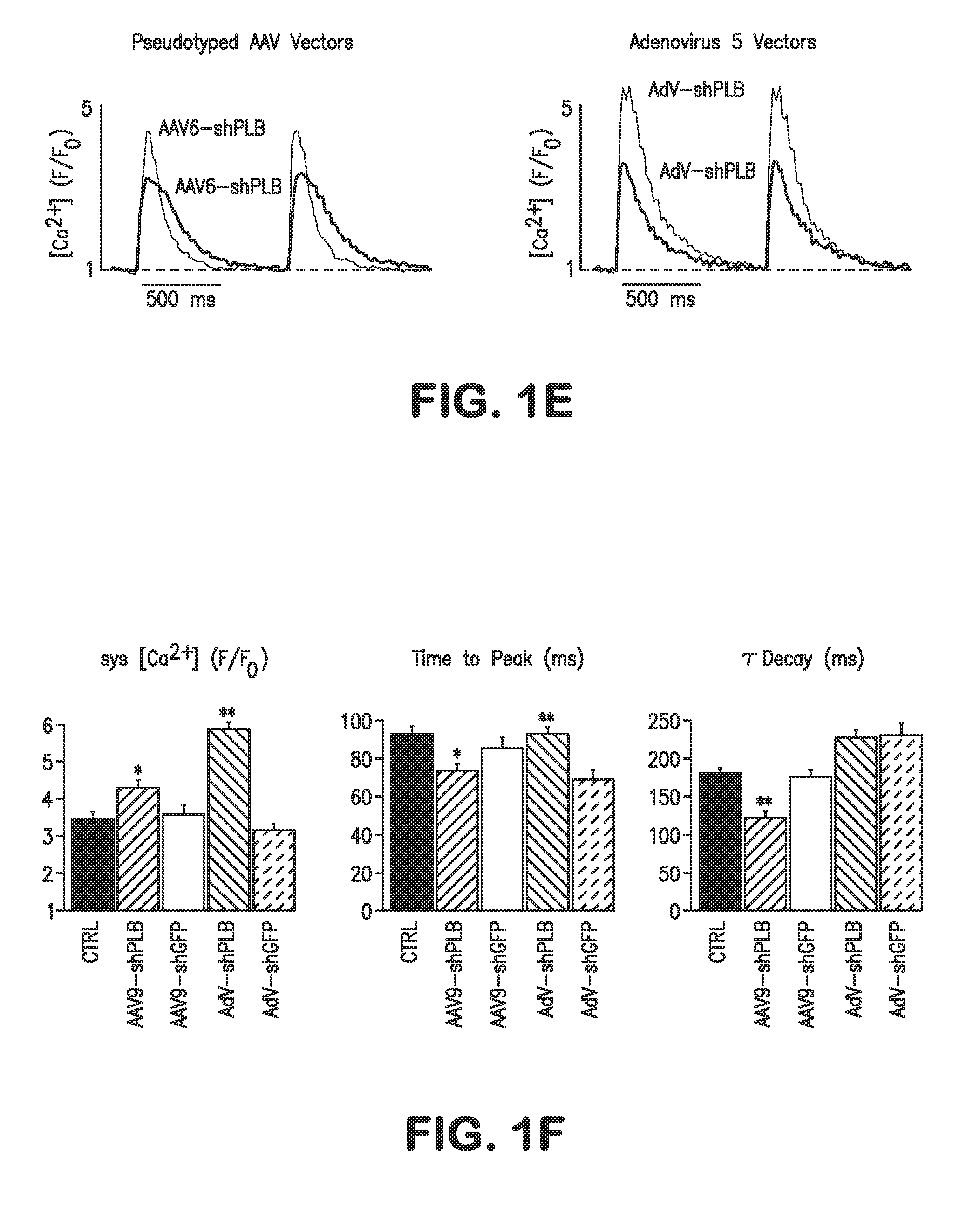 RNA Interference for the Treatment of Heart Failure