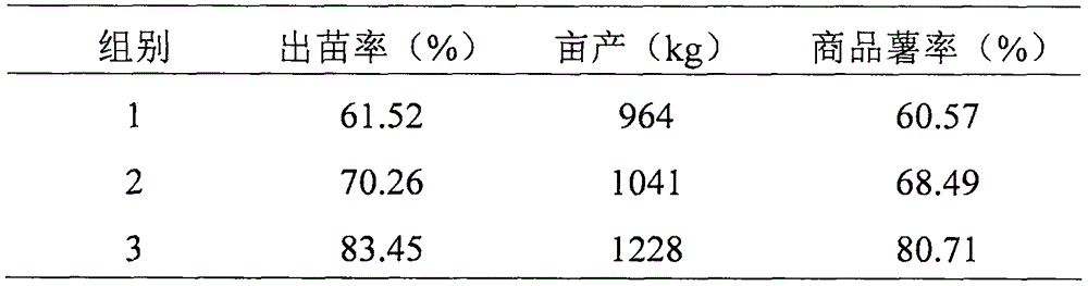 Sweet potato seed processing method