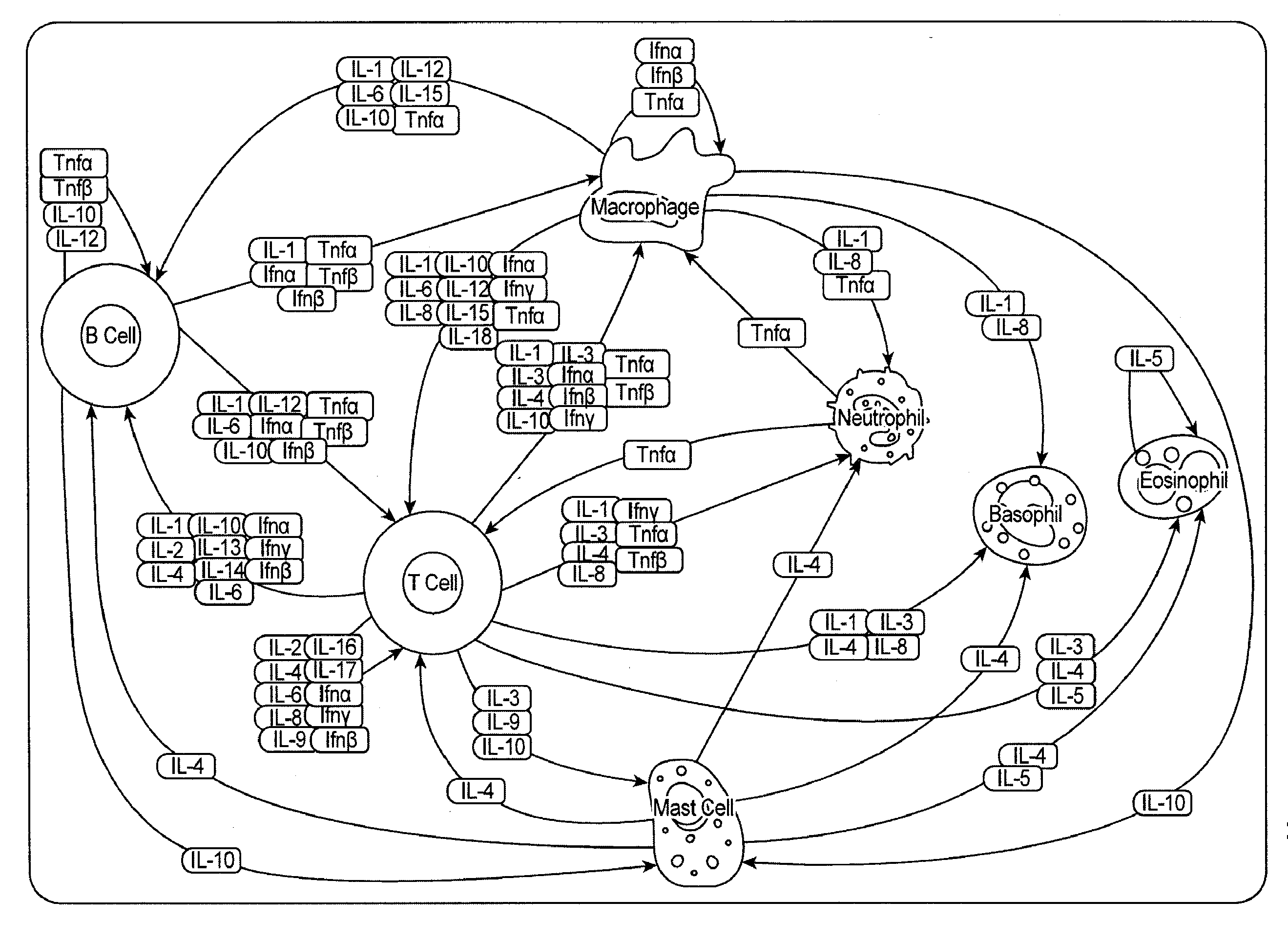 Analysis of cell networks