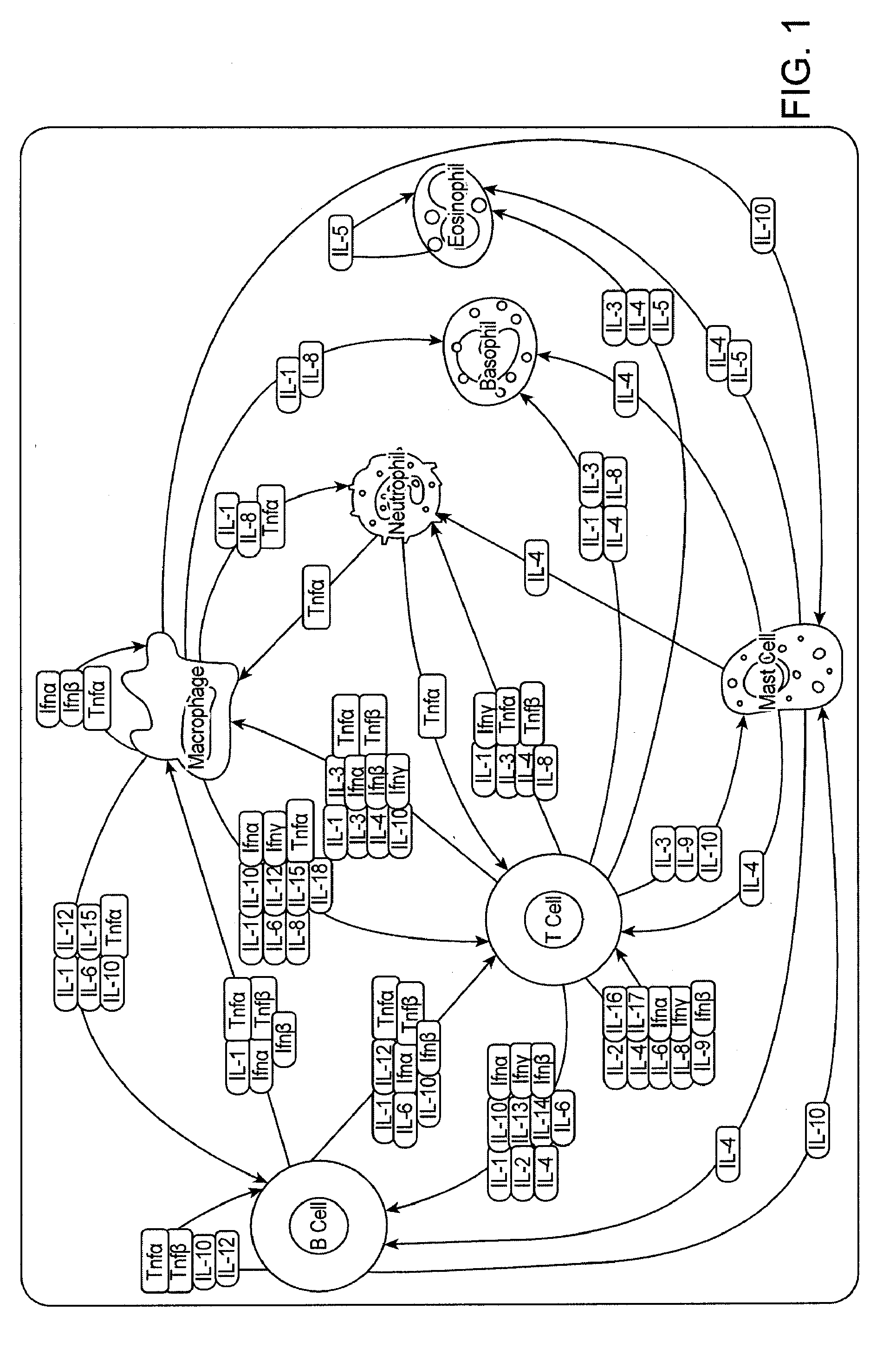 Analysis of cell networks