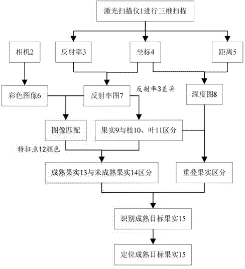 Fruit distinguishing and locating method with laser scanning and machine vision combined