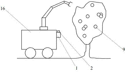 Fruit distinguishing and locating method with laser scanning and machine vision combined