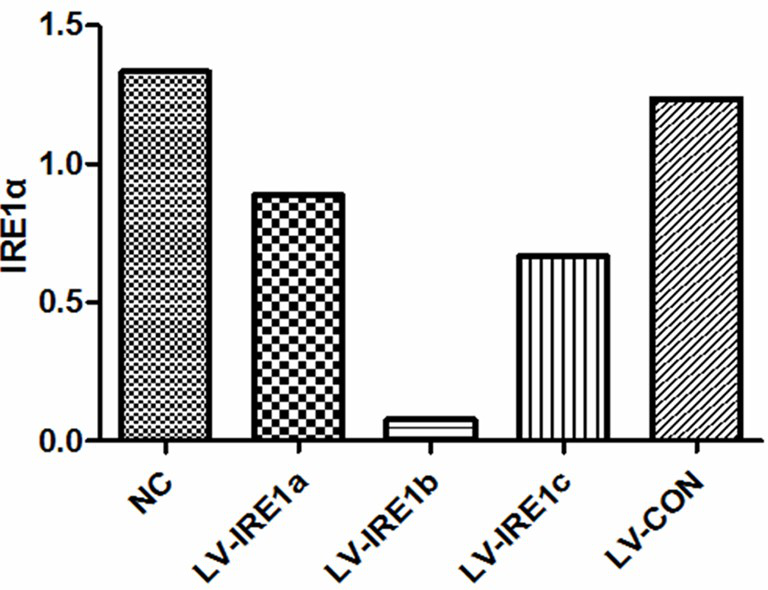 A drug for parenteral nutrition-related liver disease