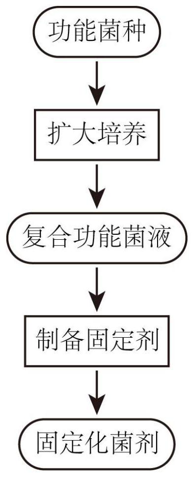 A kind of anaerobic immobilized bacteria agent, preparation method and application thereof