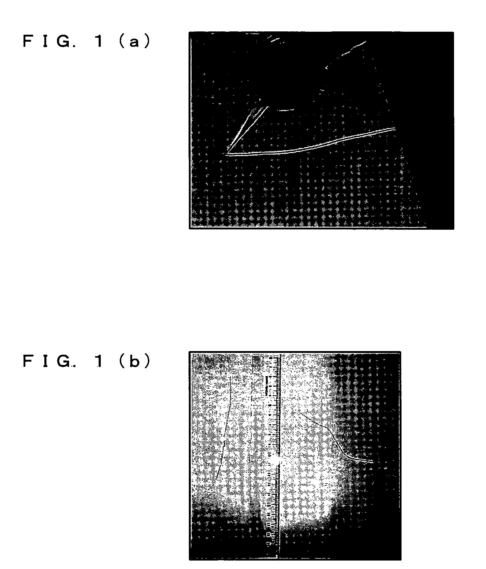 Carbon-based fine structure array, aggregate of carbon-based fine structures, use thereof and method for preparation thereof