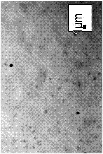 Oil displacement micro-lactic acid system for acidizing and plugging removal and preparation method thereof