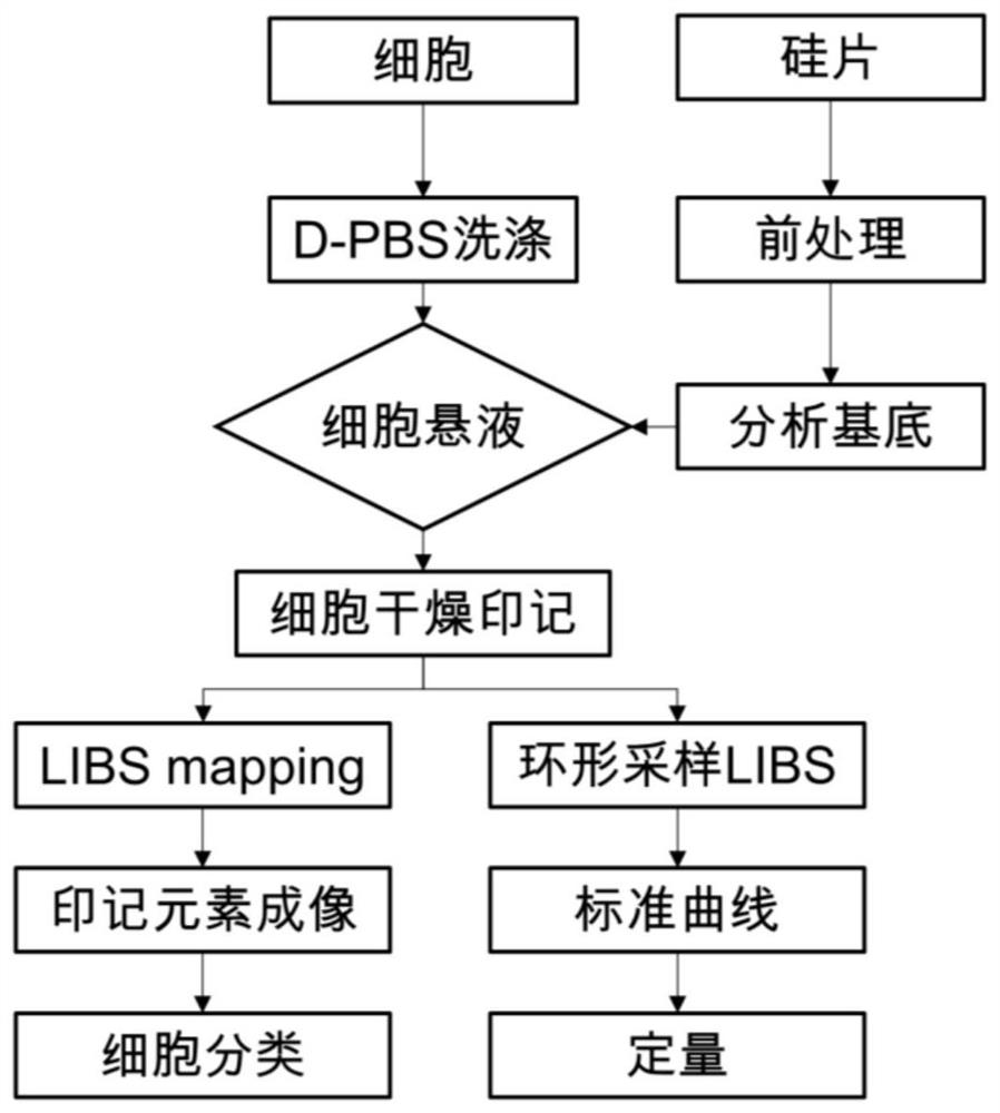 Rapid cell classification and quantification method based on coffee ring