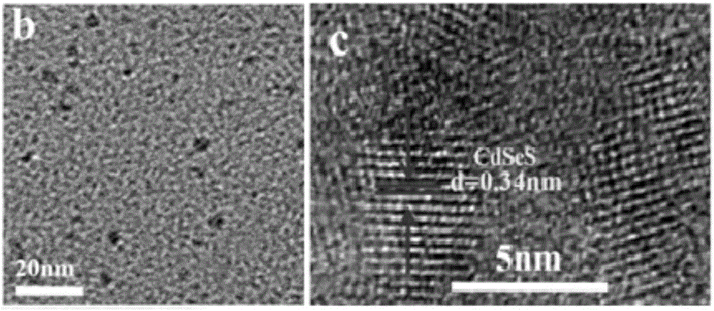 Cadmium sulphide selenide solid solution quantum dot and preparation method and photocatalytic hydrogen production application thereof