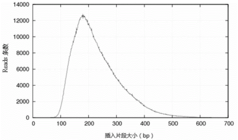 Probes and uses thereof