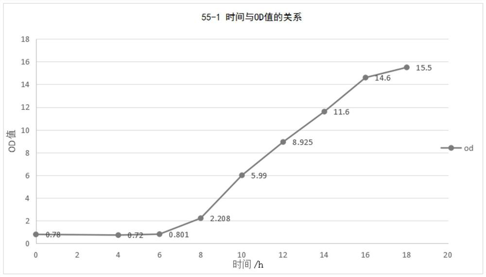 Inactivated vaccine for sheep rapid epidemic, sudden attack, lamb dysentery, enterotoxemia triple four-defense and preparation method thereof