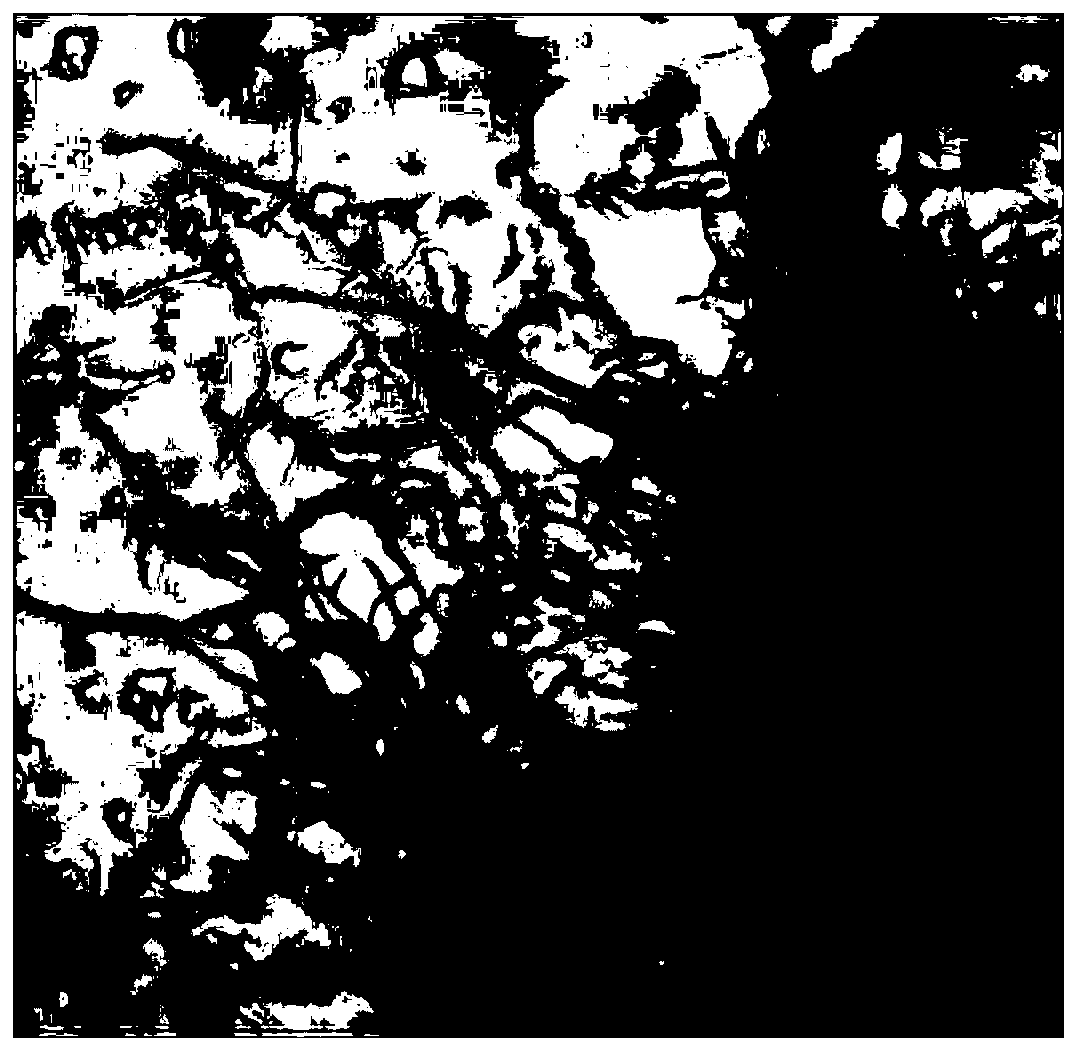 Streptomyces strain and application thereof in production of staurosporine