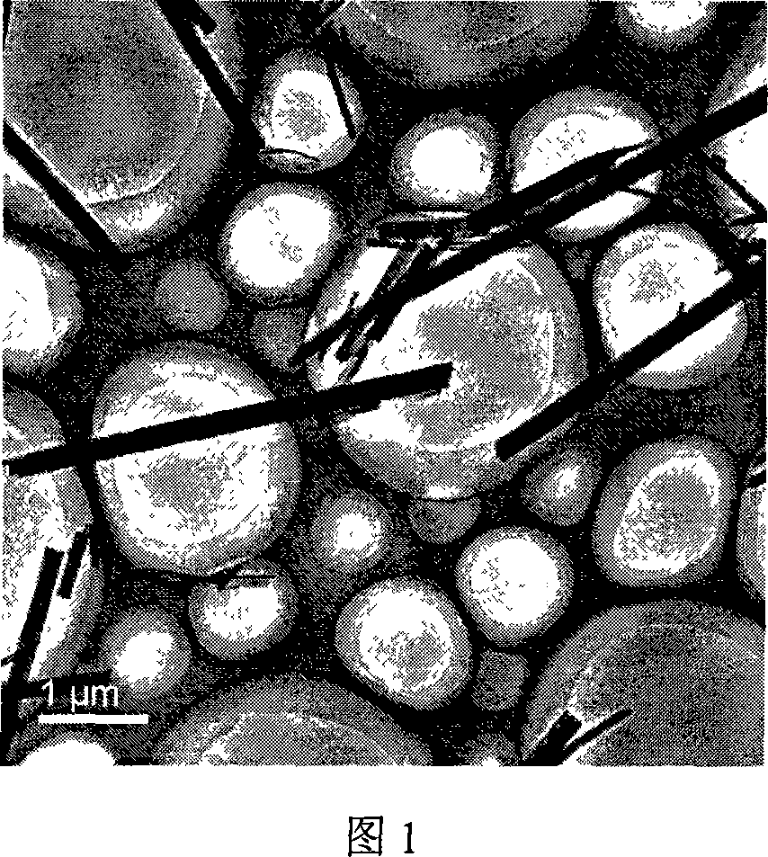 Hybridization material of Nano fiber of titanium oxide / polyaniline, and preparation method