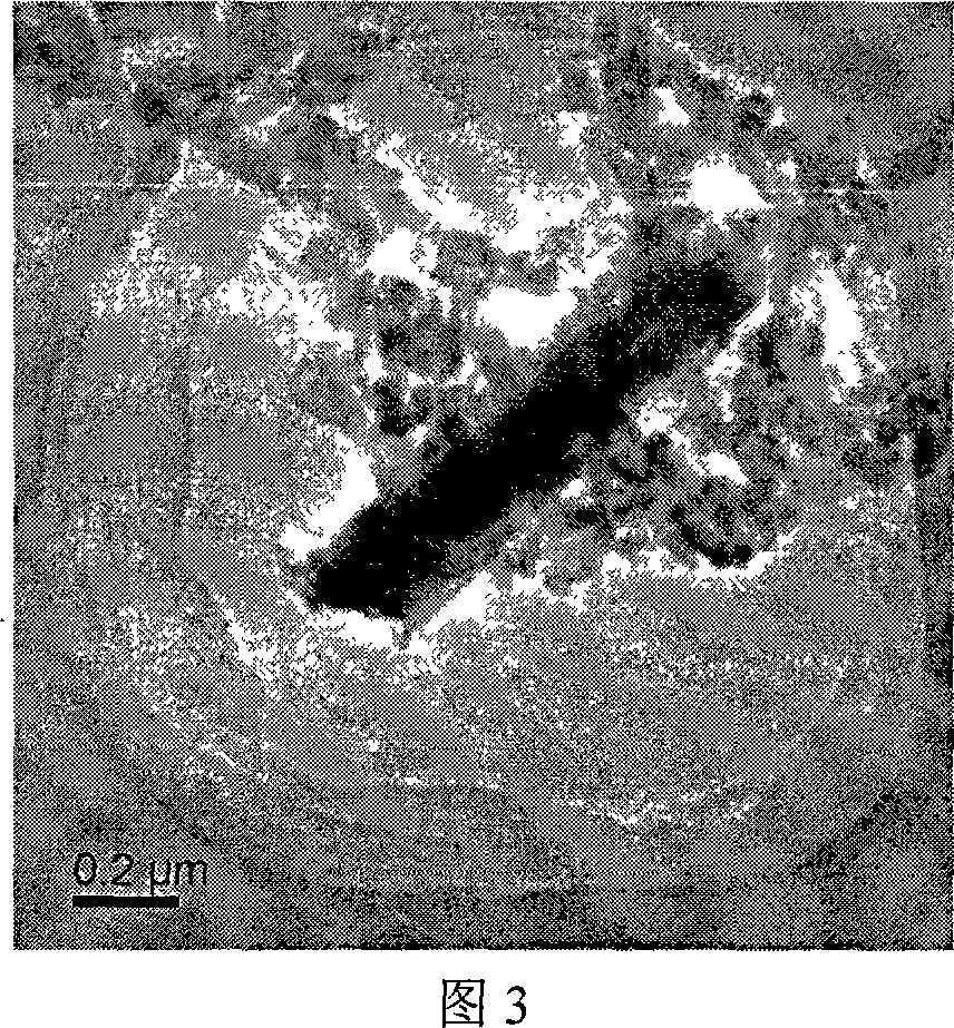 Hybridization material of Nano fiber of titanium oxide / polyaniline, and preparation method