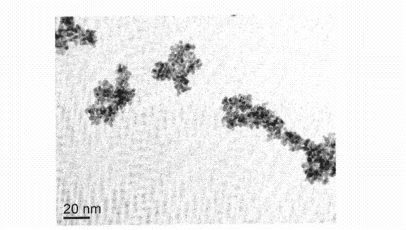 Preparation method of platinum nanoparticles