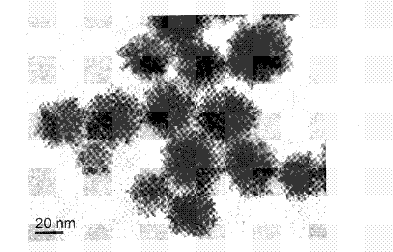 Preparation method of platinum nanoparticles