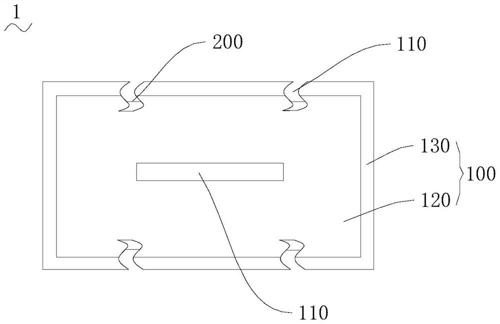 OLED screen body and phototherapy device