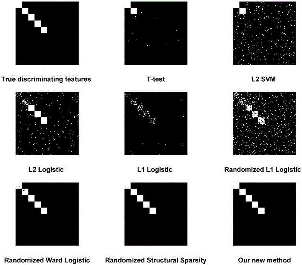 FMRI data feature selection method based on stability selection