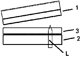 Peeling apparatus and peeling method