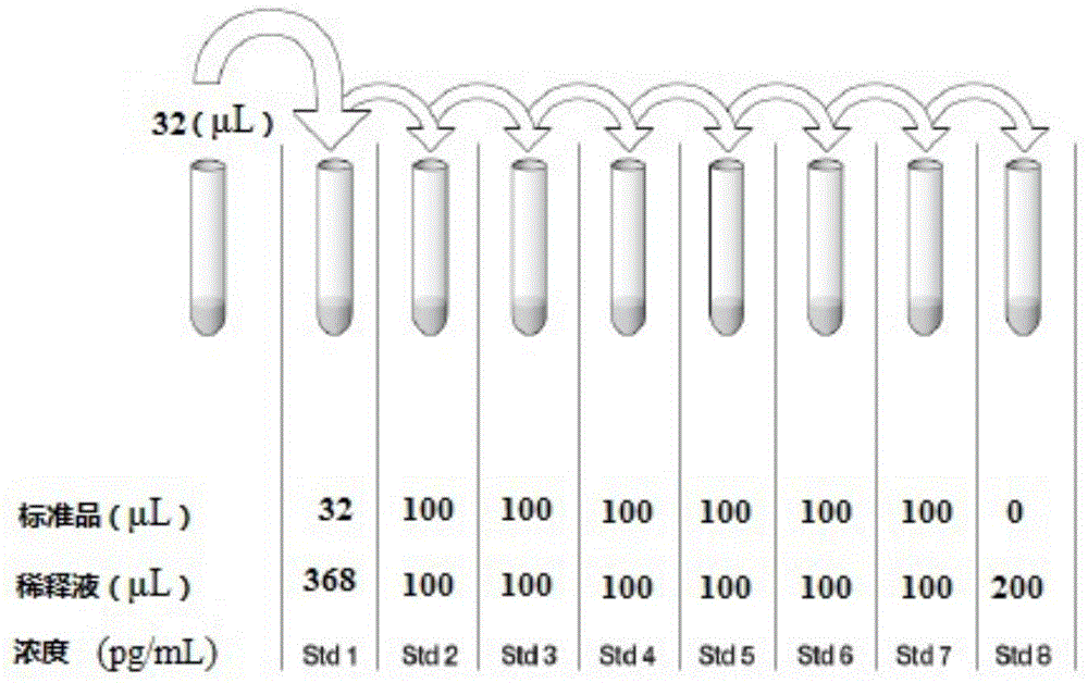 Kit for diagnosing mycobacterium tuberculosis infection based on tuberculosis specificity IL-31 detection