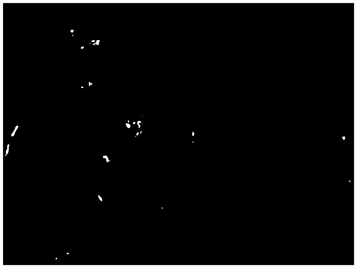 Carbon monoxide filtering material and application thereof