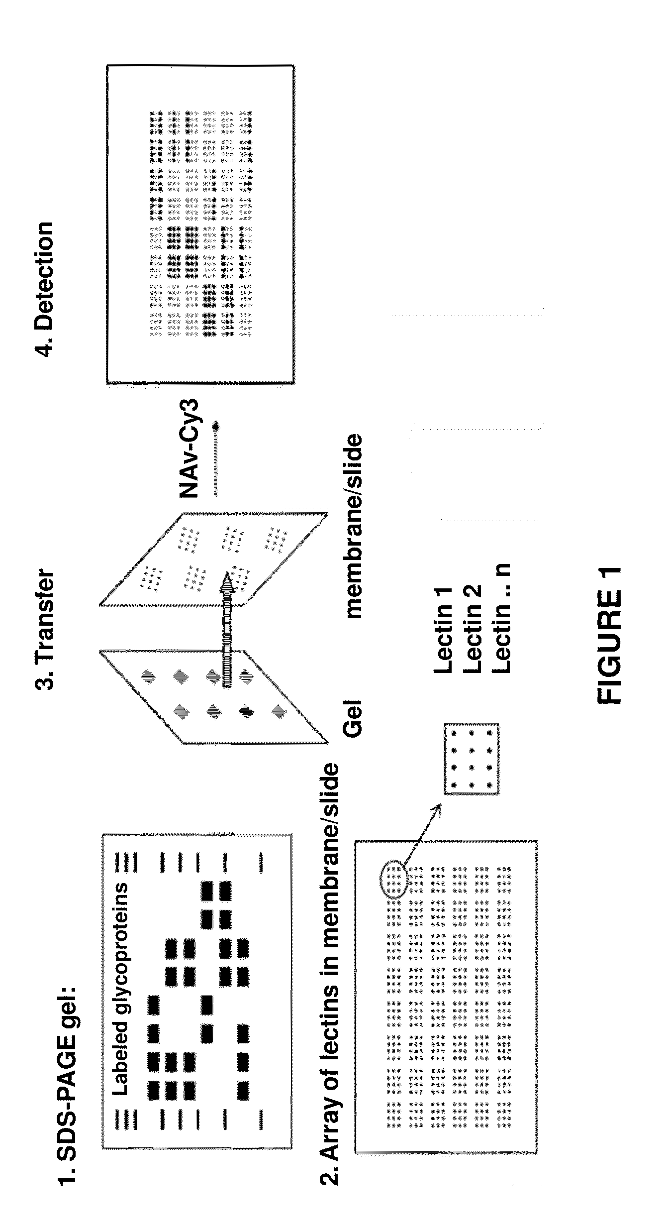 Method for the characterization of intermolecular interactions