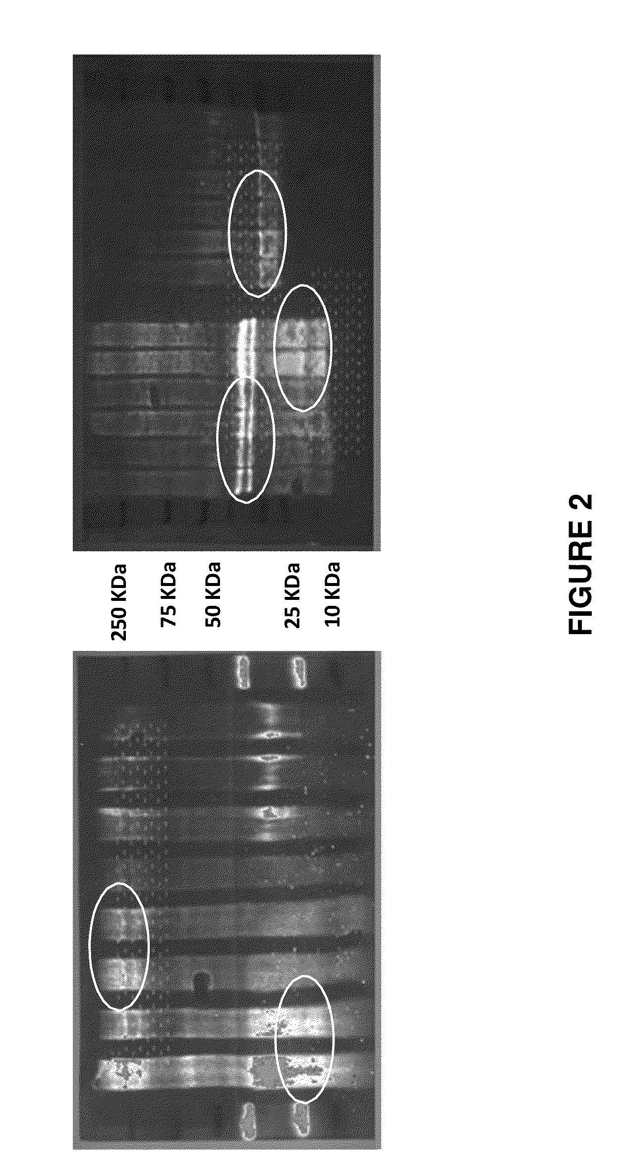 Method for the characterization of intermolecular interactions