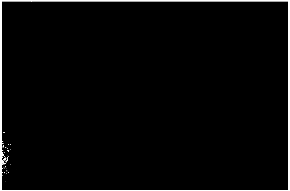 Mass differentiation and rooting method of protocorms of dendrobium candidum