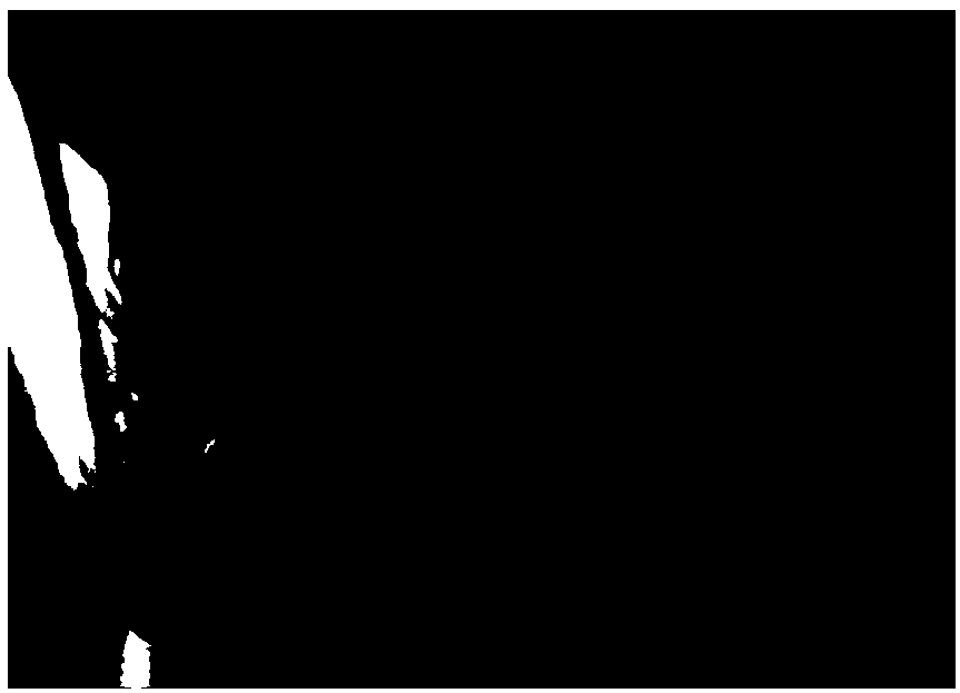 Mass differentiation and rooting method of protocorms of dendrobium candidum