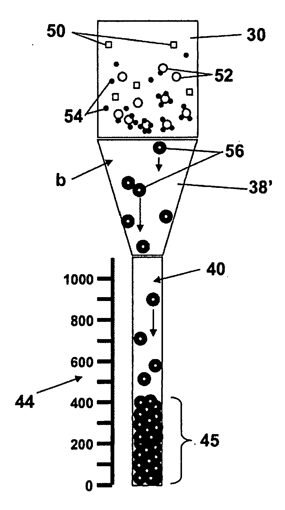 Cell assay kit and method